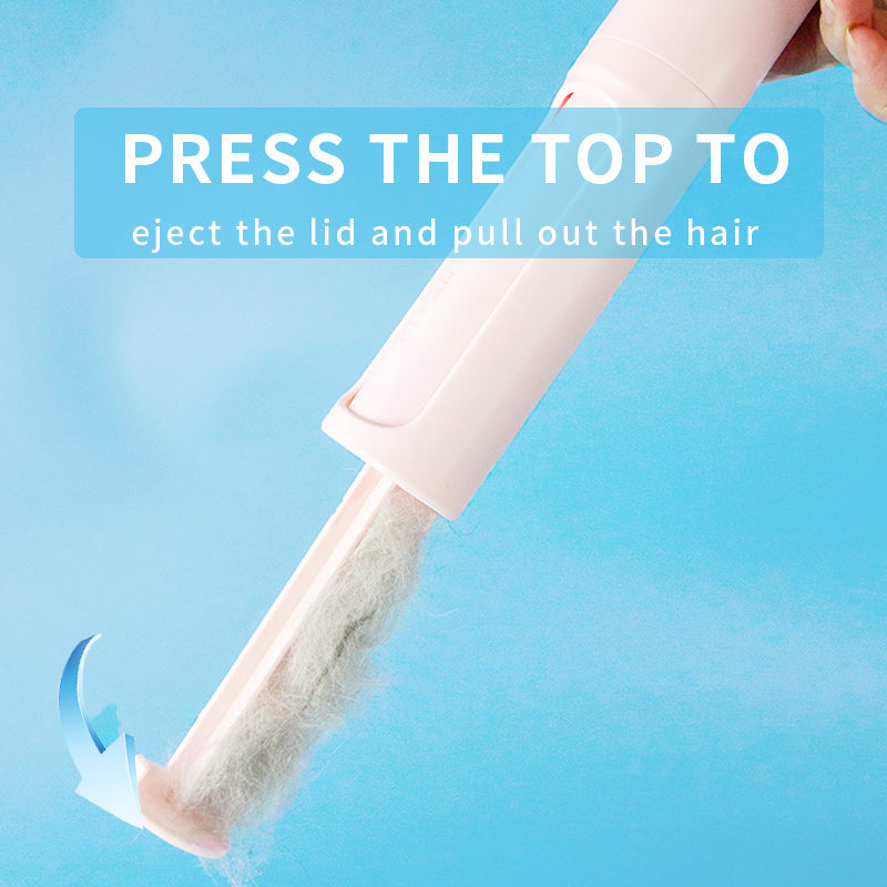 Portable and Easy to Carry Pet Hair Removal Brush